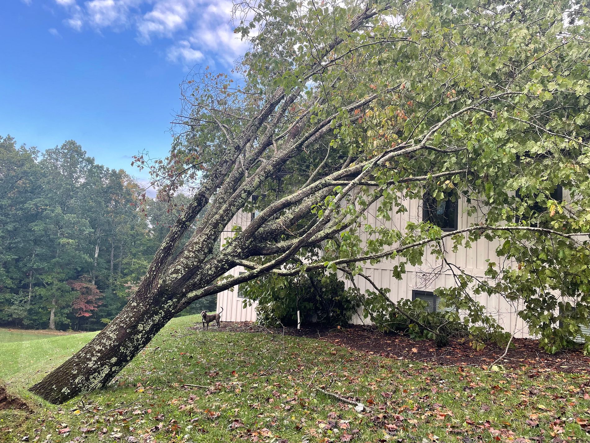 Storm Damage